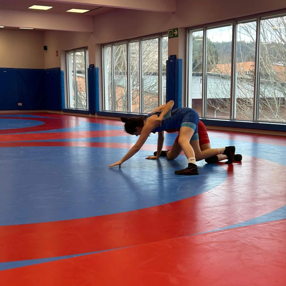 Resultados Campeonato Navarro Júnior de Luchas Olímpicas